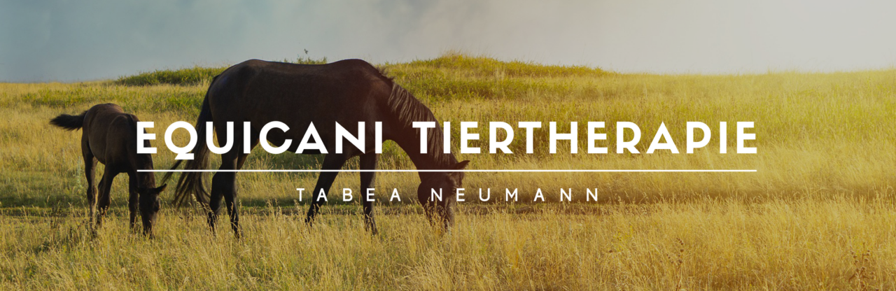 Equicani Tiertherapie